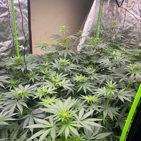 Baker bros  growlog timeline photo