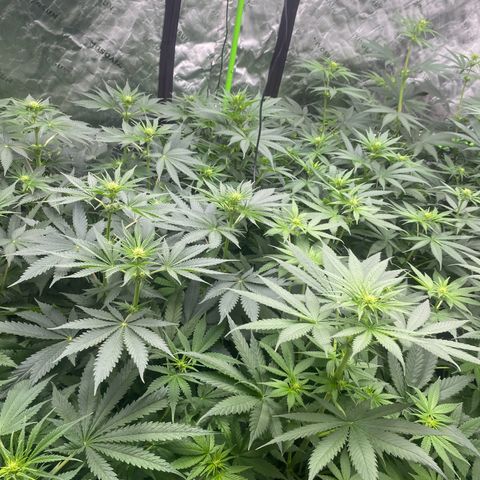 Baker bros  growlog timeline photo