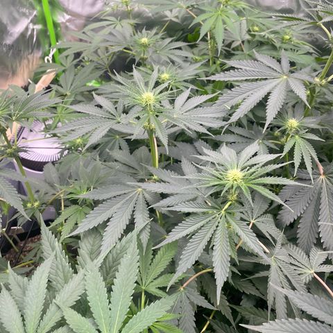 Baker bros  growlog timeline photo