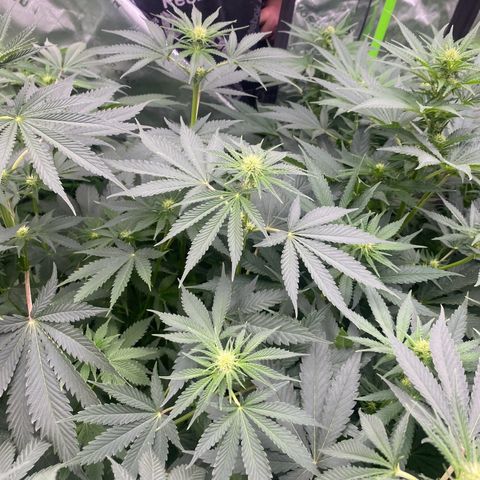 Baker bros  growlog timeline photo