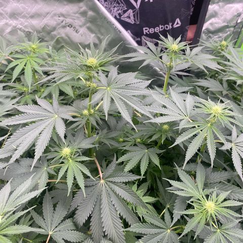 Baker bros  growlog timeline photo