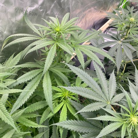 Baker bros  growlog timeline photo