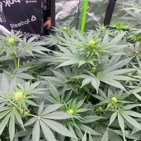 Baker bros  growlog timeline photo