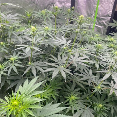 Baker bros  growlog timeline photo