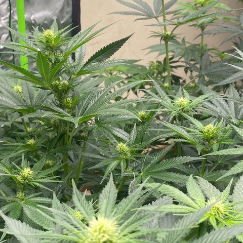 Baker bros  growlog timeline photo