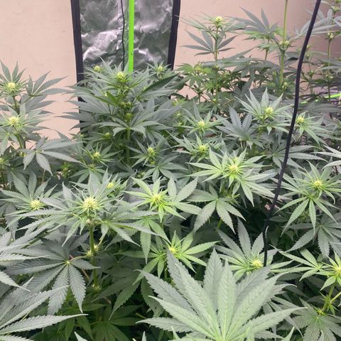 Baker bros  growlog timeline photo