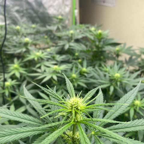 Baker bros  growlog timeline photo