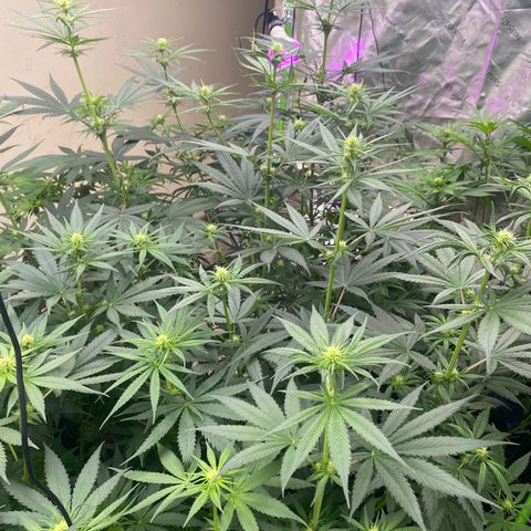 Baker bros  growlog timeline photo