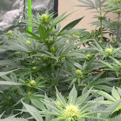 Baker bros  growlog timeline photo