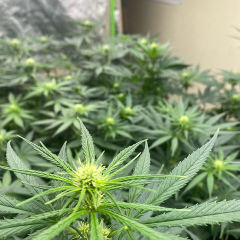 Baker bros  growlog timeline photo