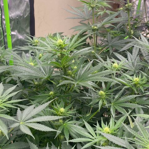 Baker bros  growlog timeline photo
