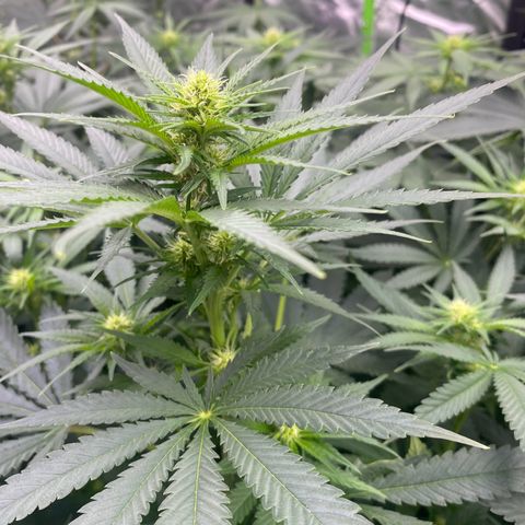 Baker bros  growlog timeline photo