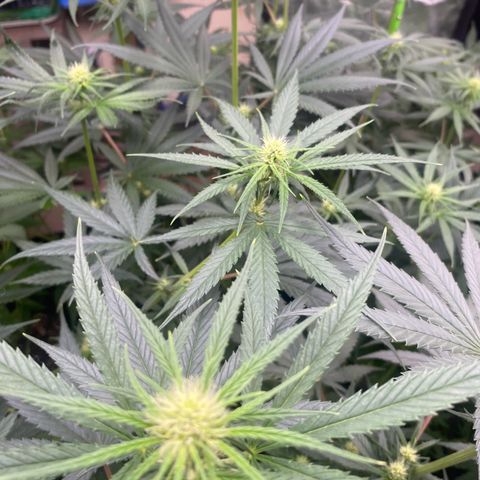 Baker bros  growlog timeline photo