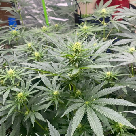Baker bros  growlog timeline photo