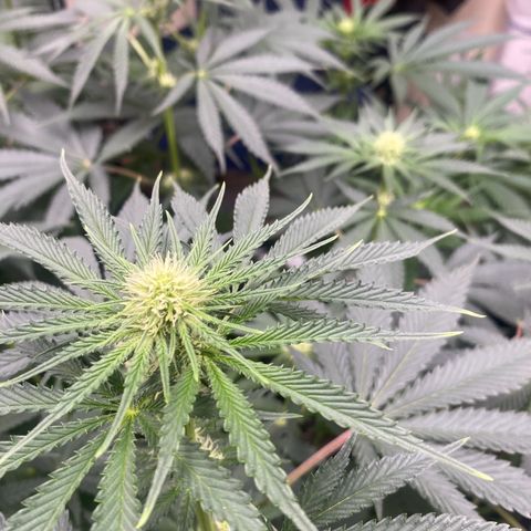 Baker bros  growlog timeline photo