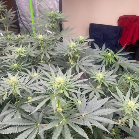 Baker bros  growlog timeline photo