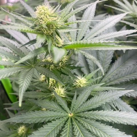 Baker bros  growlog timeline photo