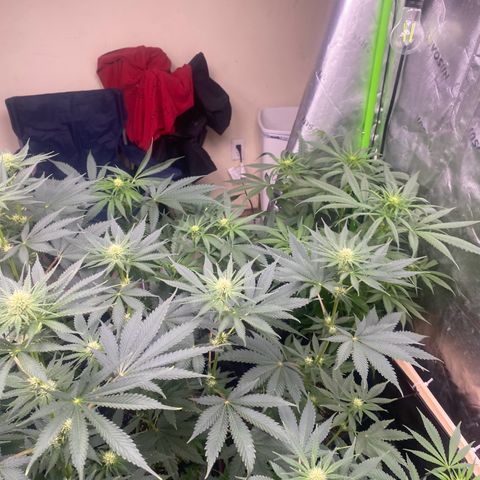 Baker bros  growlog timeline photo