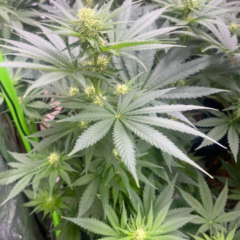 Baker bros  growlog timeline photo