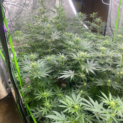 Baker bros  growlog timeline photo
