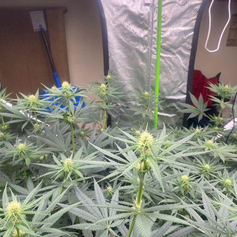 Baker bros  growlog timeline photo