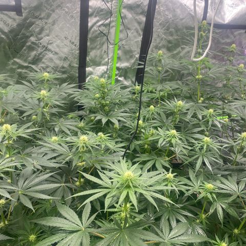 Baker bros  growlog timeline photo