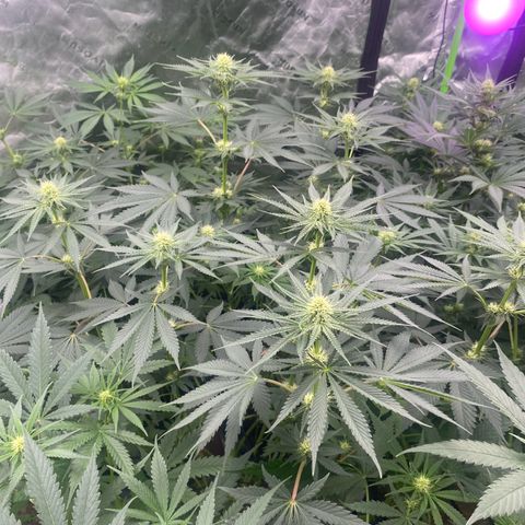Baker bros  growlog timeline photo