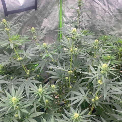 Baker bros  growlog timeline photo