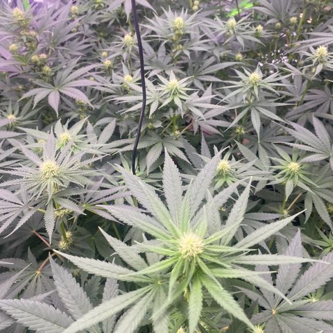 Baker bros  growlog timeline photo