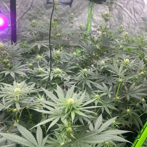 Baker bros  growlog timeline photo
