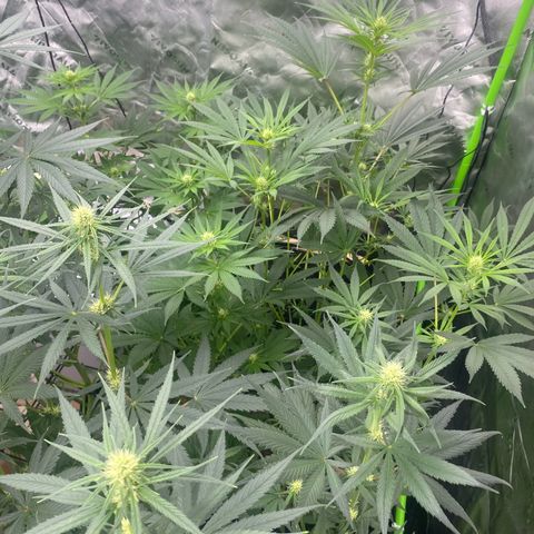 Baker bros  growlog timeline photo