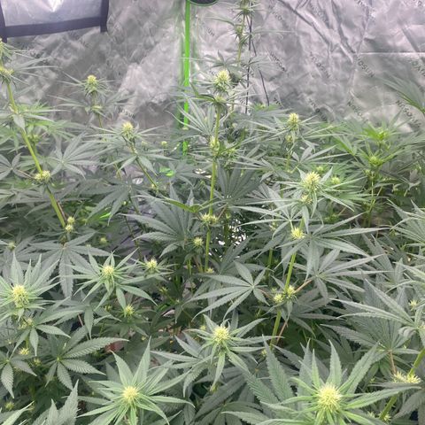 Baker bros  growlog timeline photo