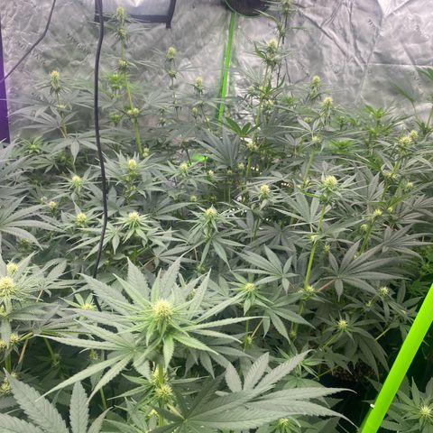 Baker bros  growlog timeline photo
