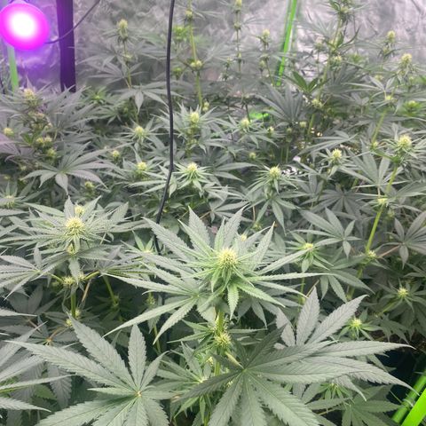 Baker bros  growlog timeline photo