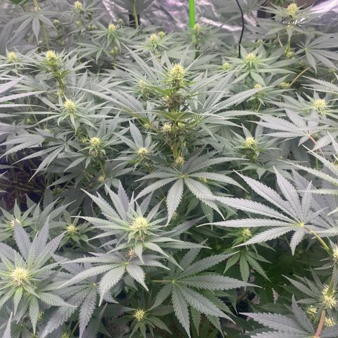 Baker bros  growlog timeline photo