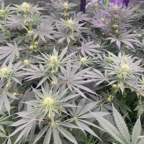 Baker bros  growlog timeline photo