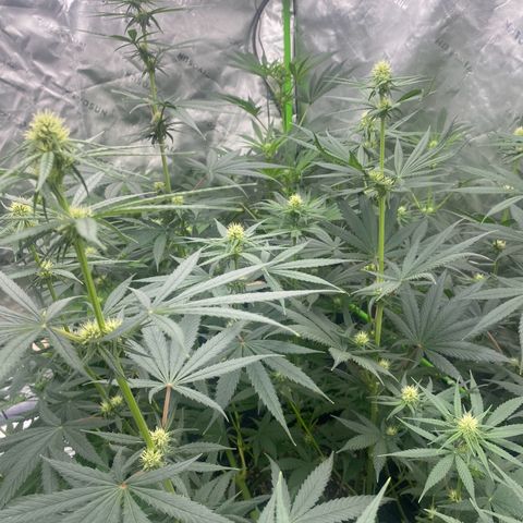 Baker bros  growlog timeline photo