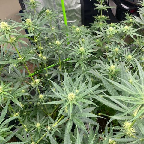 Baker bros  growlog timeline photo