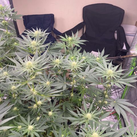 Baker bros  growlog timeline photo