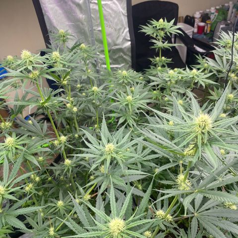 Baker bros  growlog timeline photo