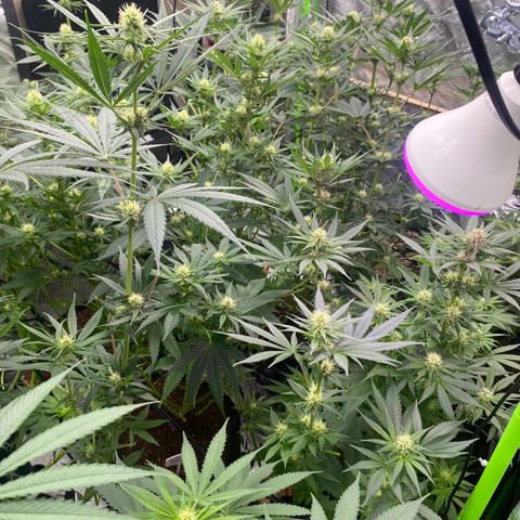 Baker bros  growlog timeline photo