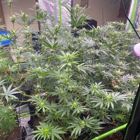 Baker bros  growlog timeline photo