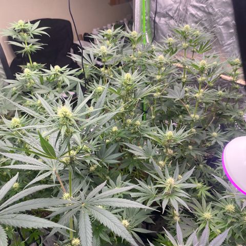 Baker bros  growlog timeline photo
