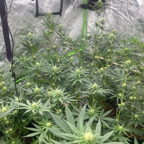 Baker bros  growlog timeline photo