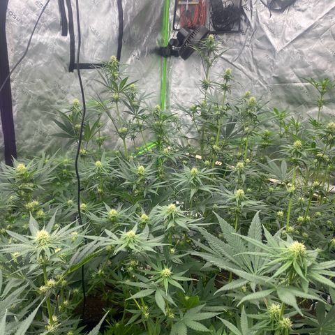 Baker bros  growlog timeline photo