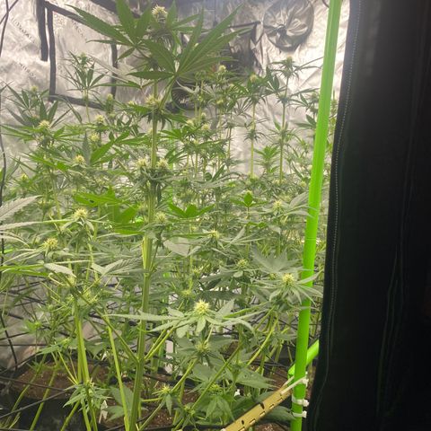 Baker bros  growlog timeline photo