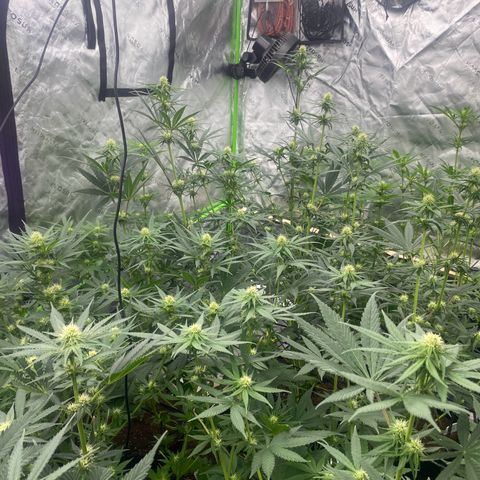 Baker bros  growlog timeline photo
