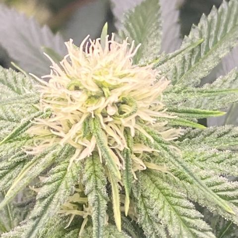 Baker bros  growlog timeline photo