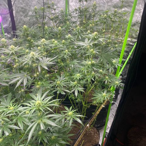 Baker bros  growlog timeline photo