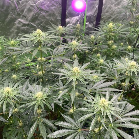 Baker bros  growlog timeline photo
